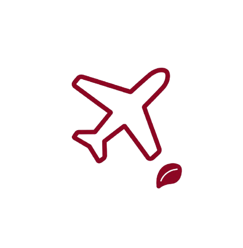 Aviation Insurance